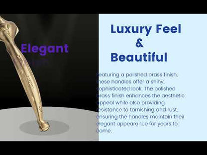BRASS PULL HANDLES | SHELL | Unit 1